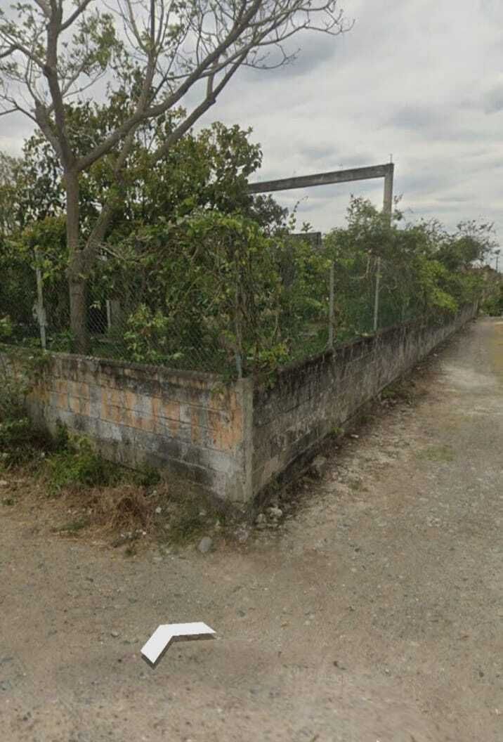 4 de 13