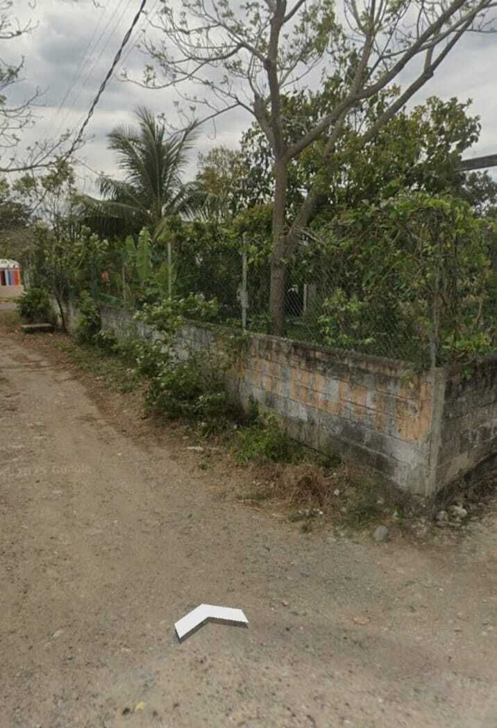 6 de 13