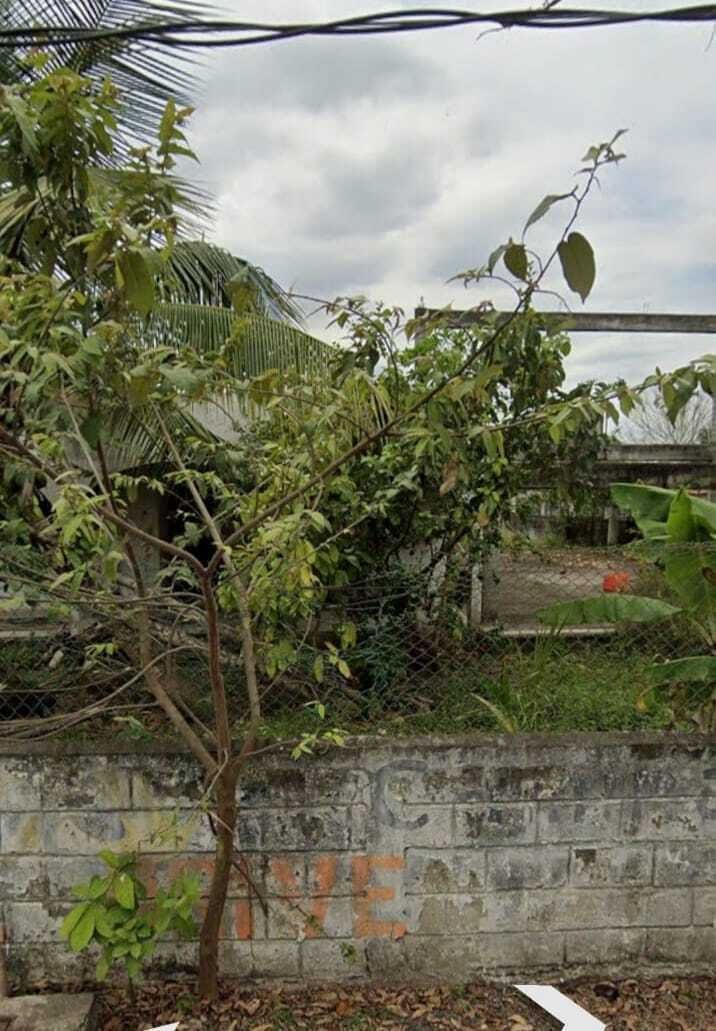 11 de 13