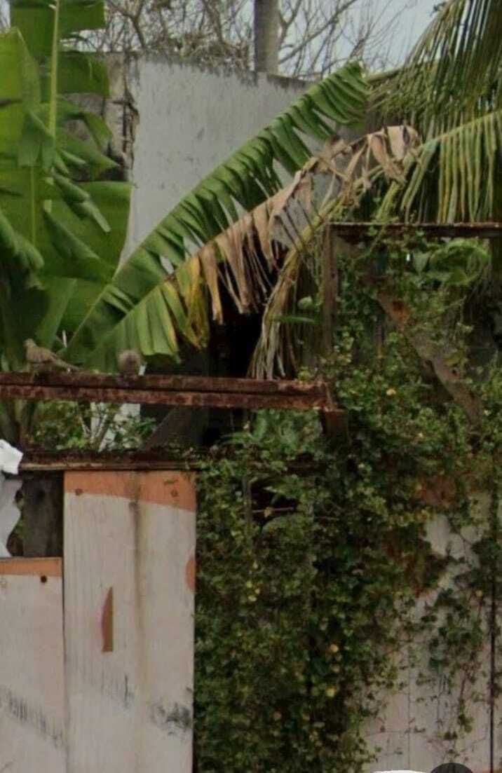 7 de 13