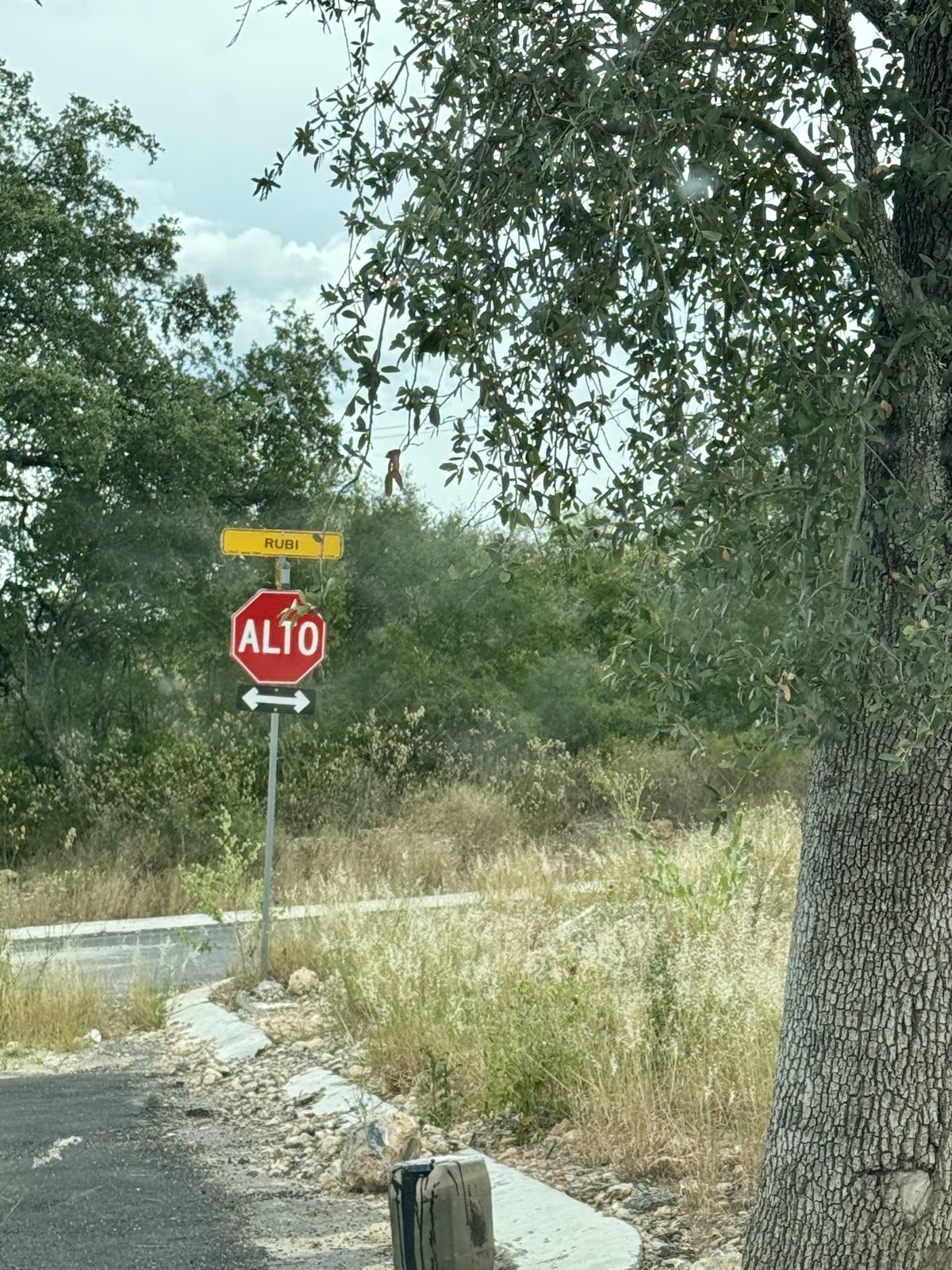 5 de 6