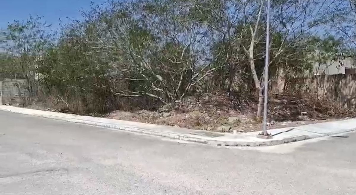 12 de 12