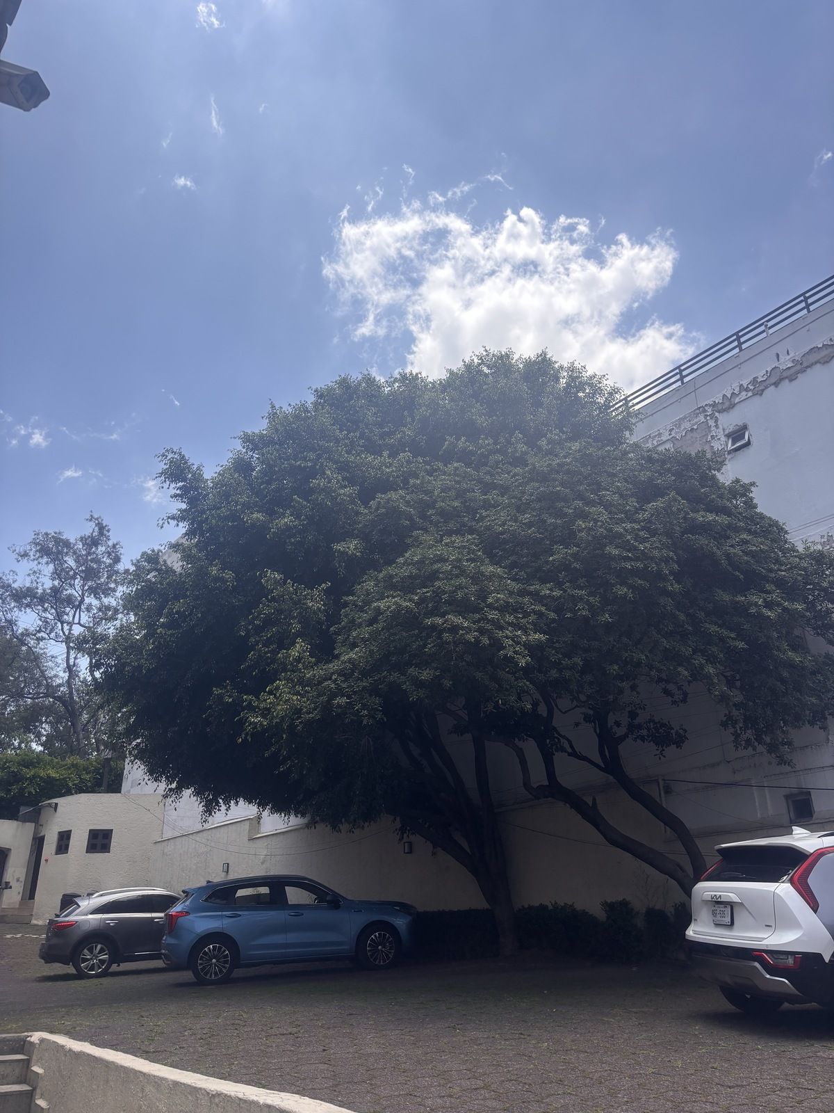 2 de 27