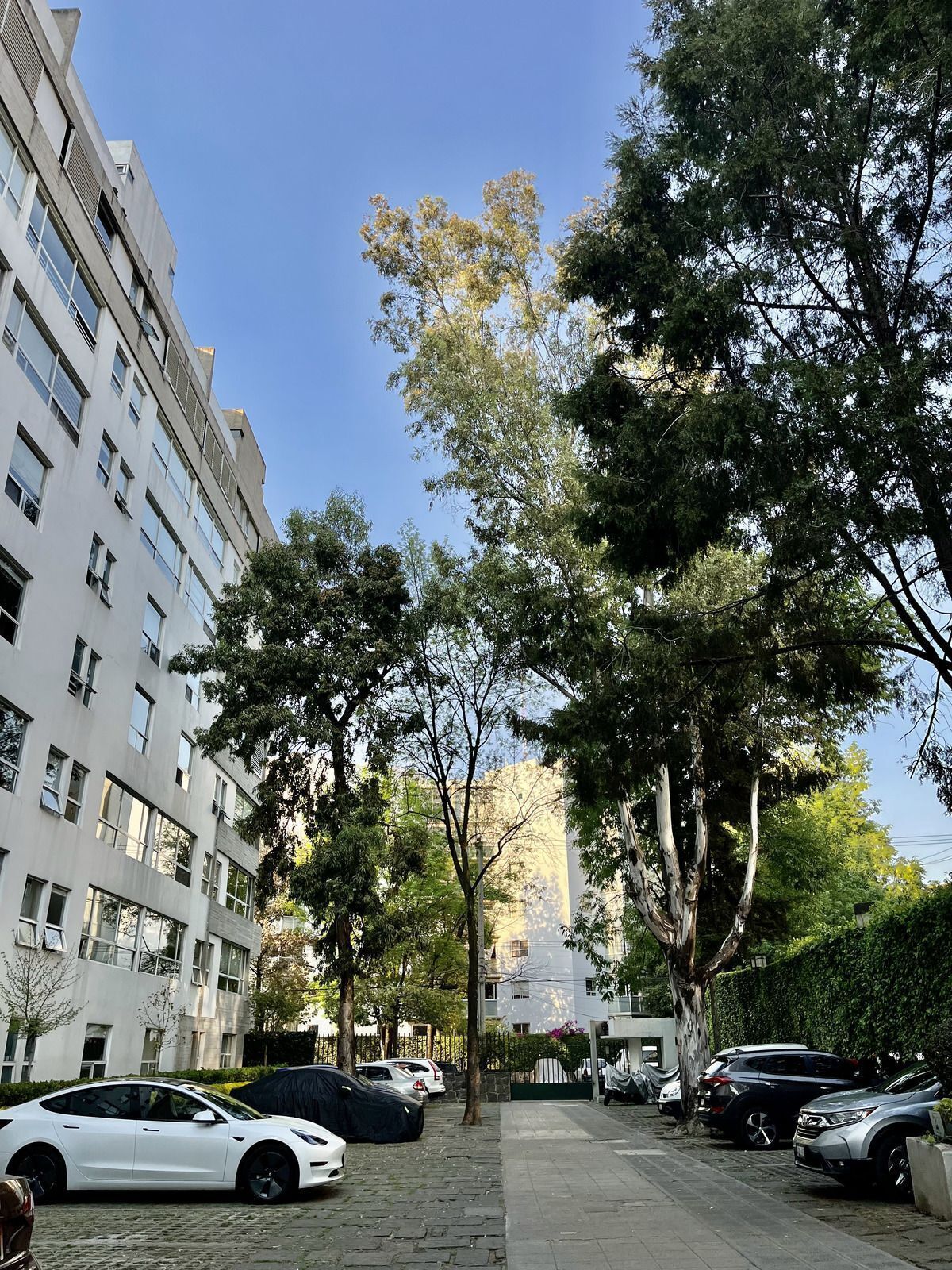 1 de 21