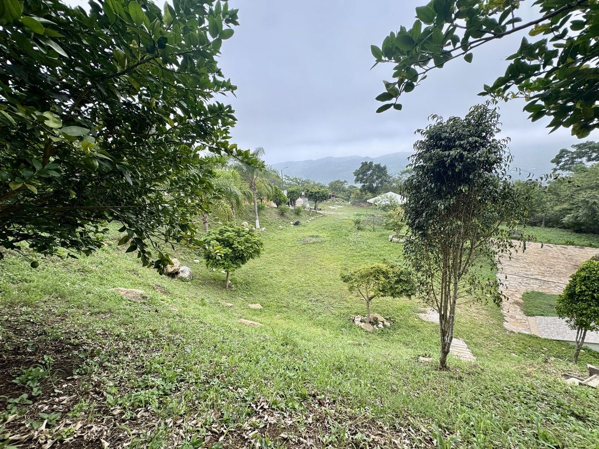 15 de 45