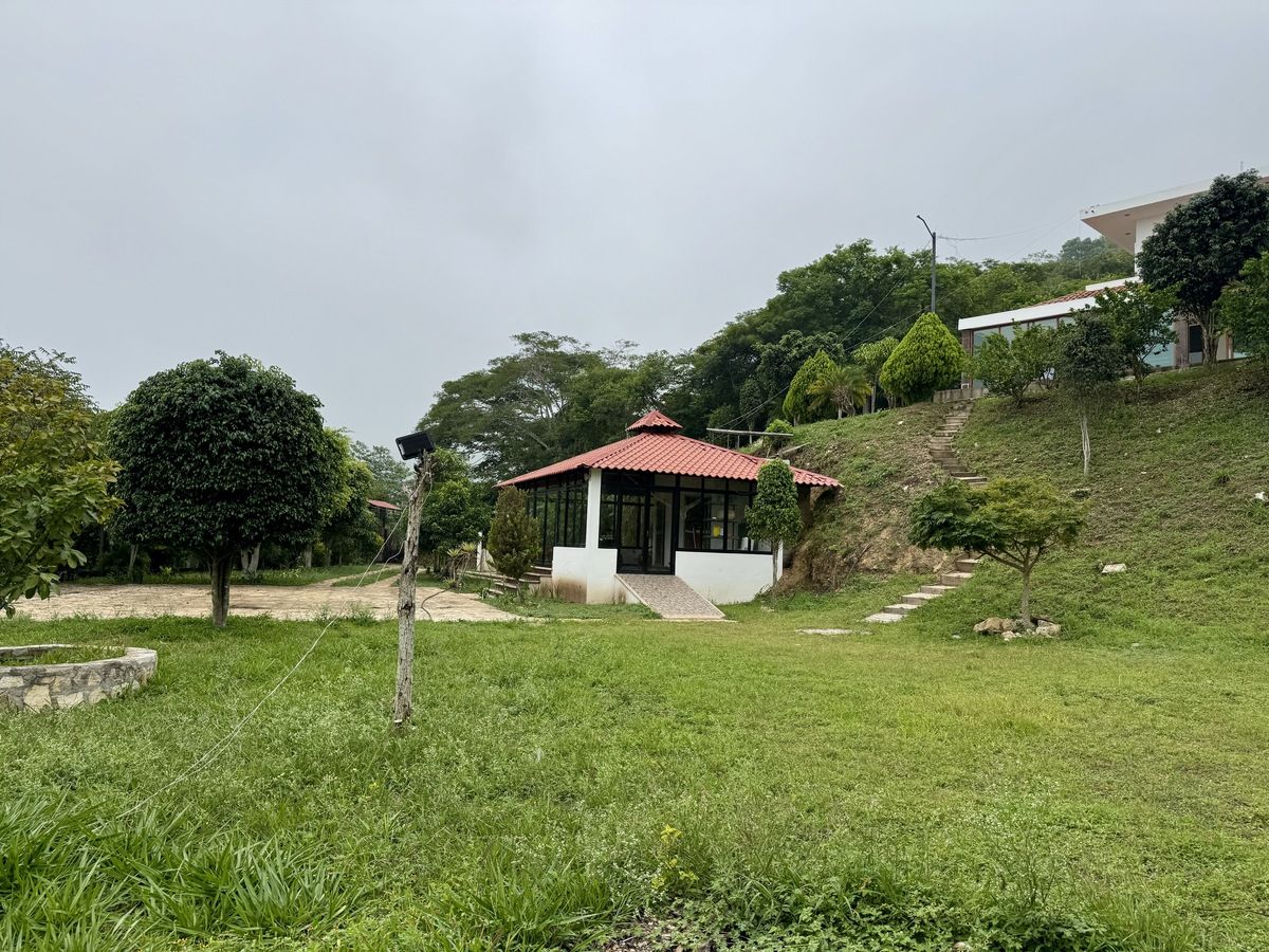 12 de 45