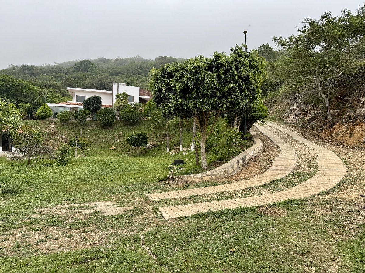 19 de 45