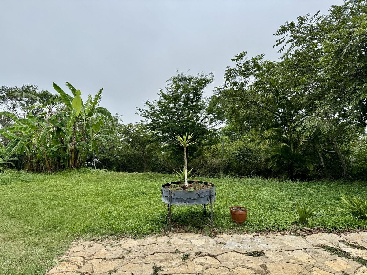 20 de 45