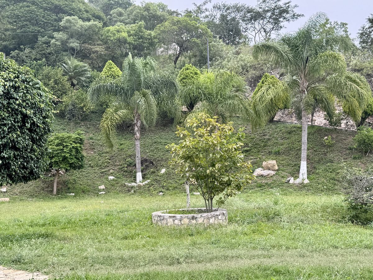 24 de 45