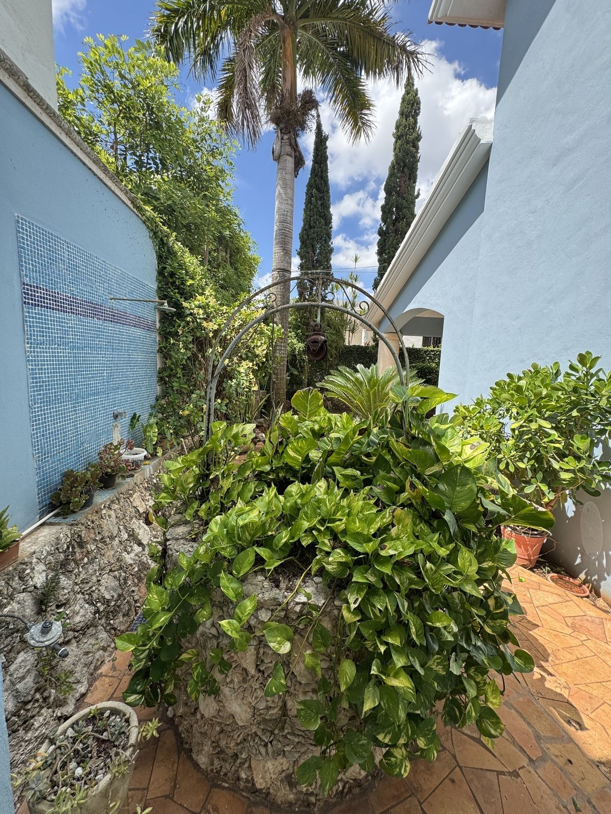 6 de 42