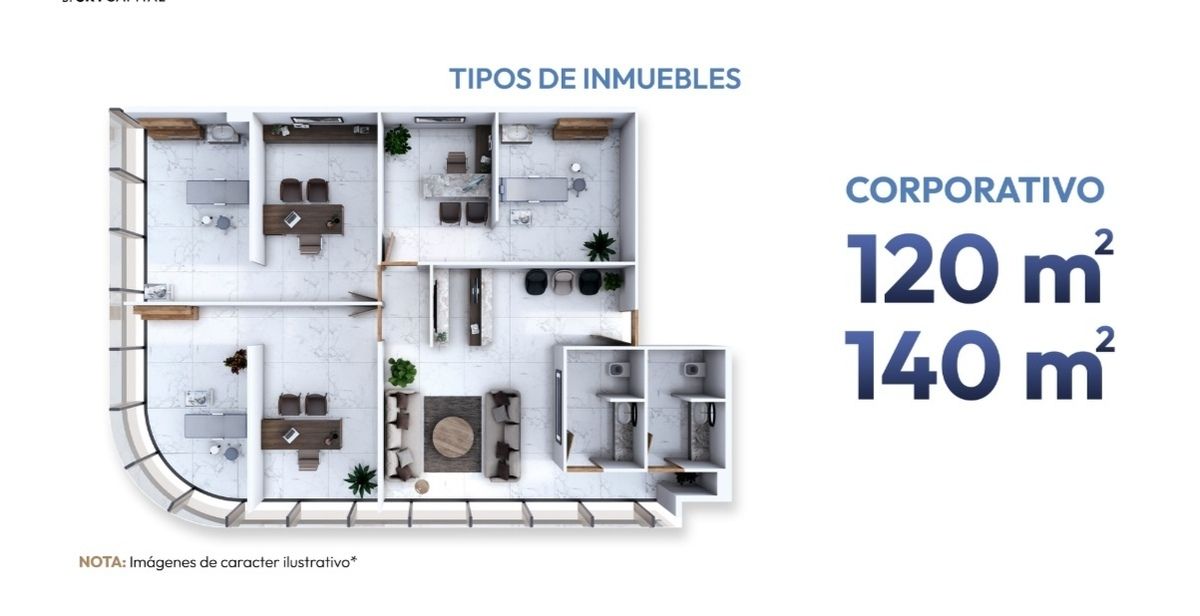 12 de 21