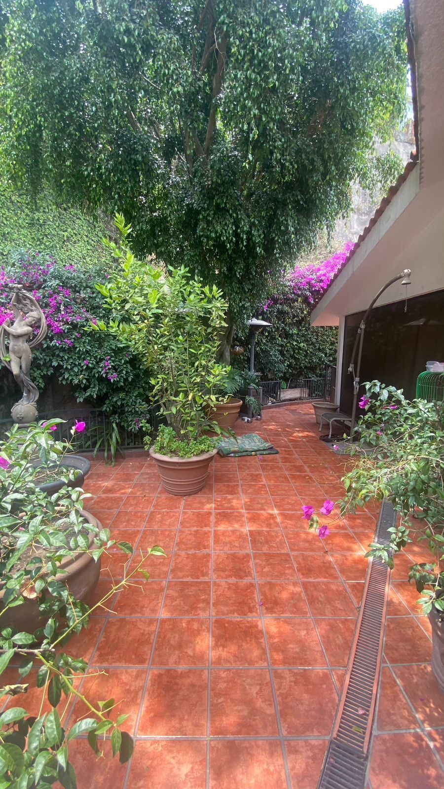 31 de 32