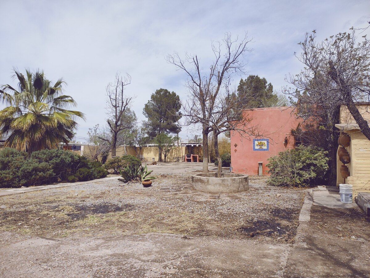 2 de 20