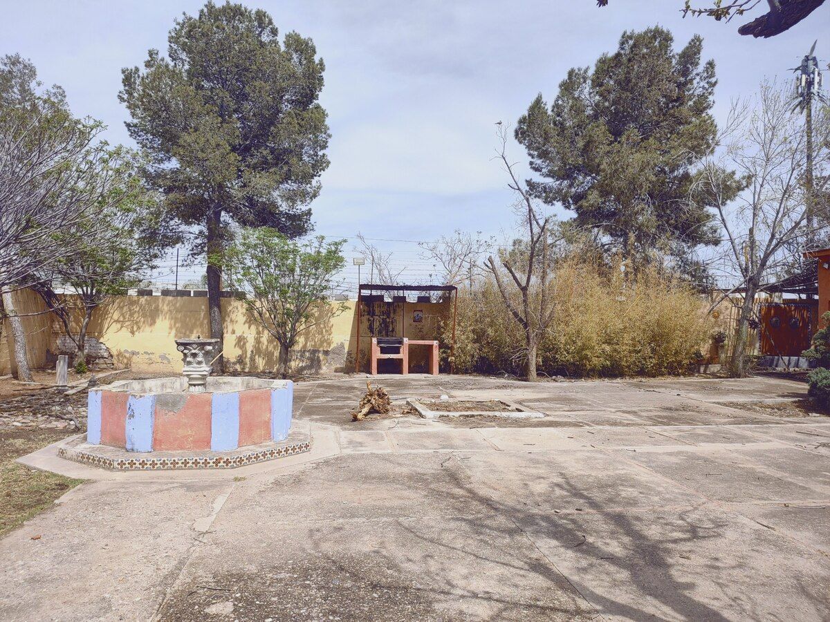 4 de 20
