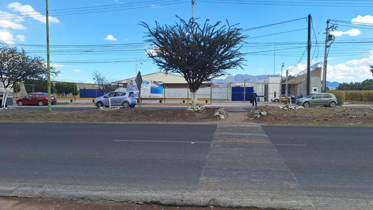 Imagen 9 de 10
