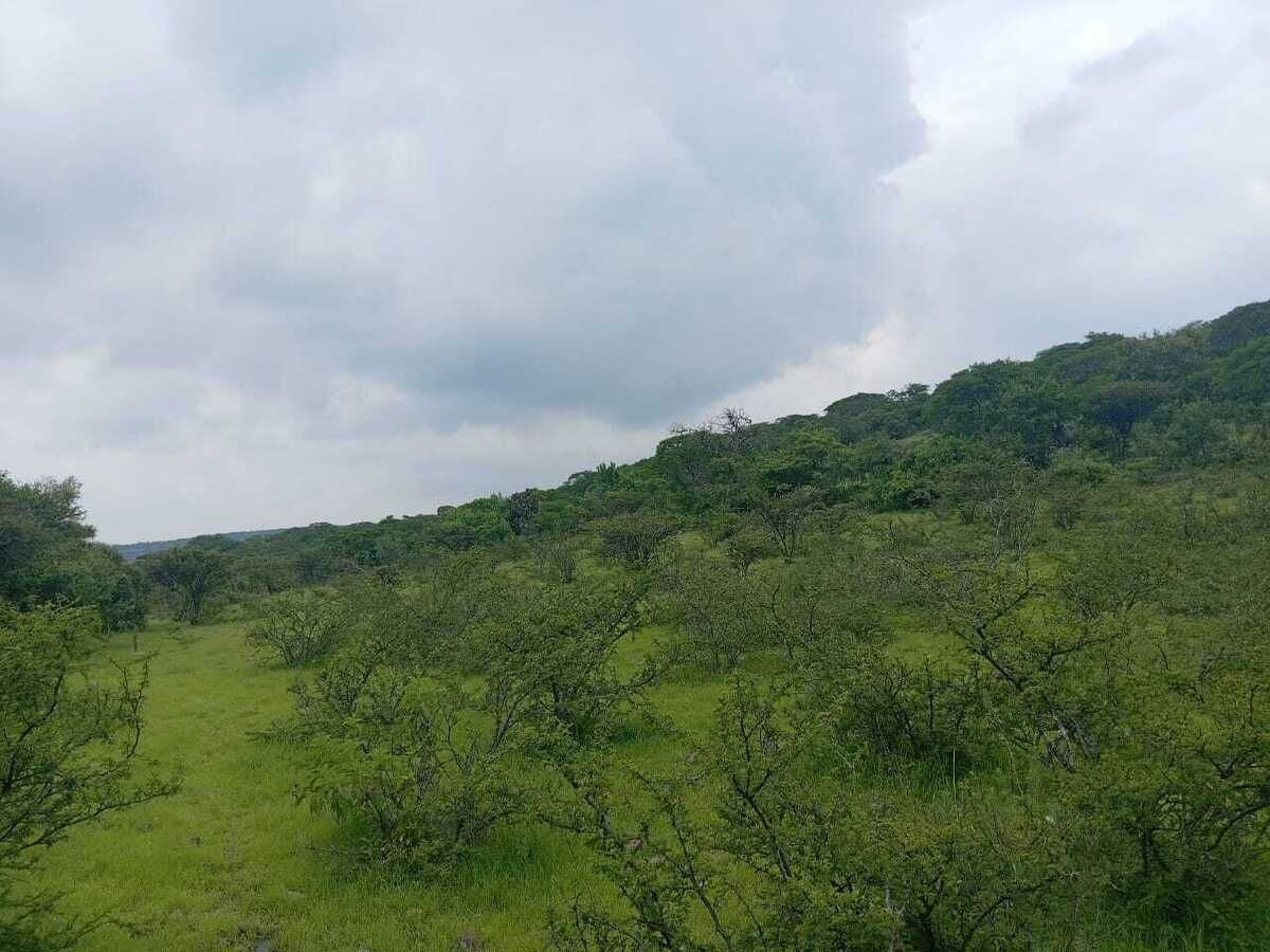 6 de 16