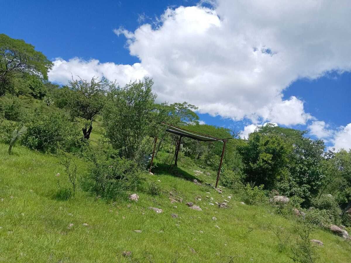 12 de 16