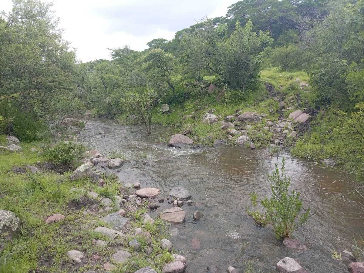 3 de 16