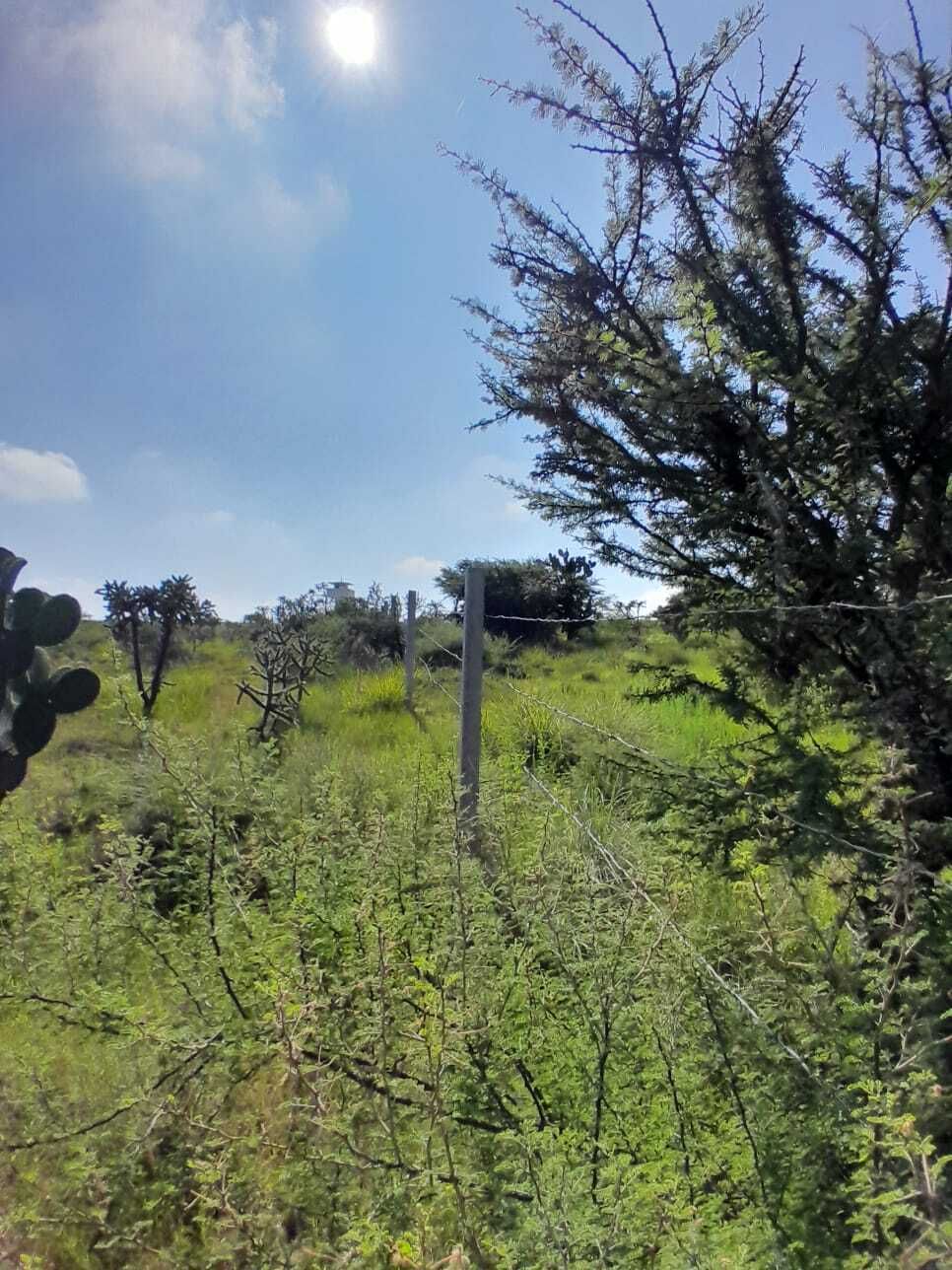 11 de 37