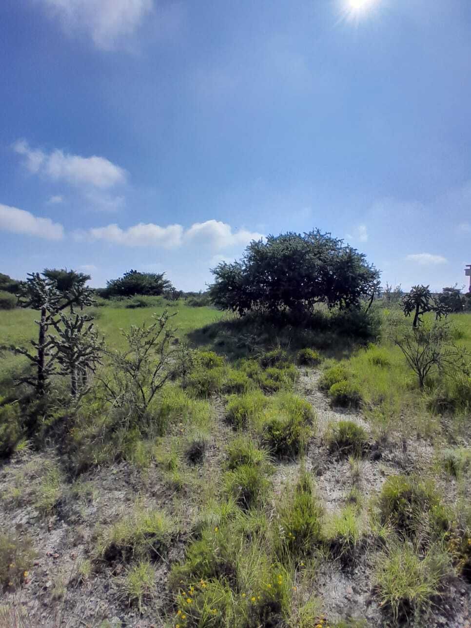 14 de 37