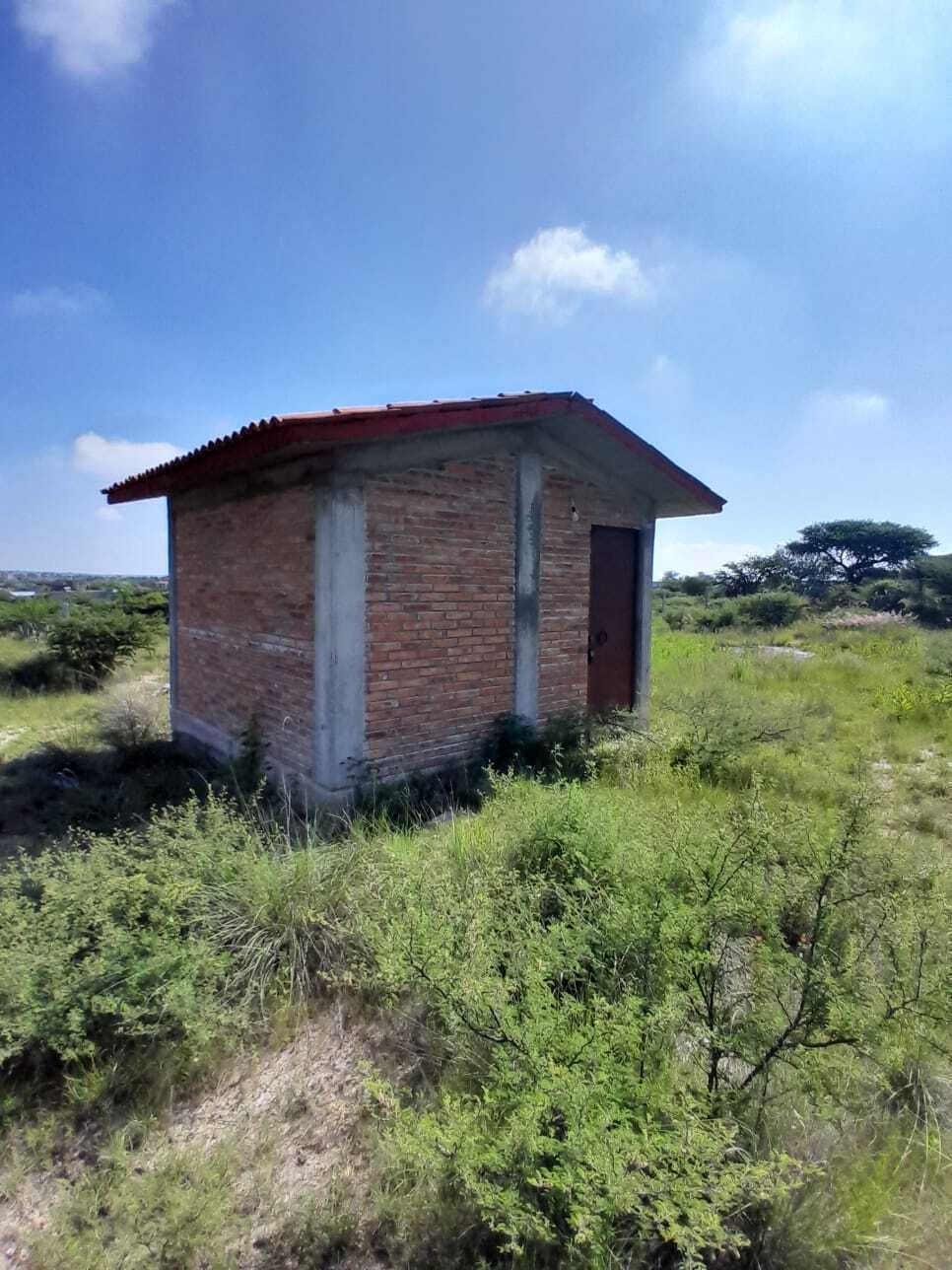 19 de 37