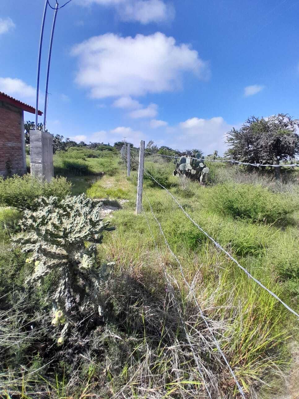 21 de 37