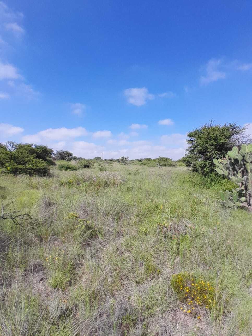 28 de 37