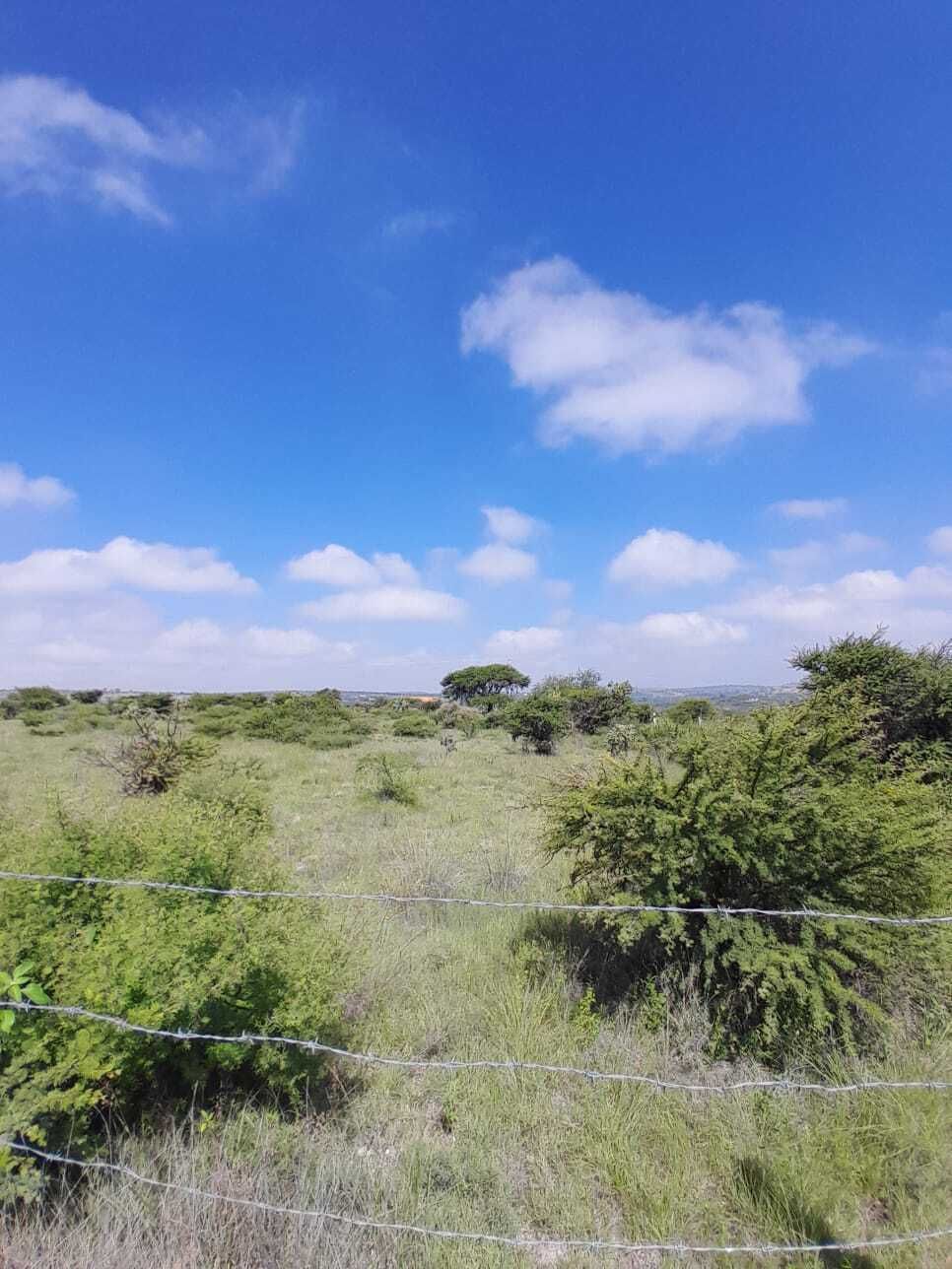 37 de 37