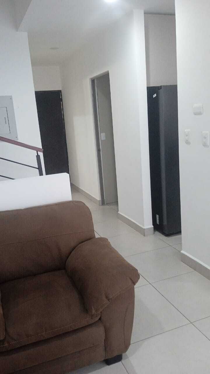 6 de 31