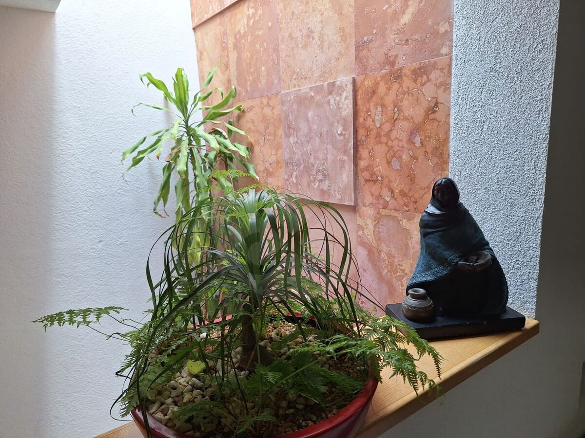 35 de 50