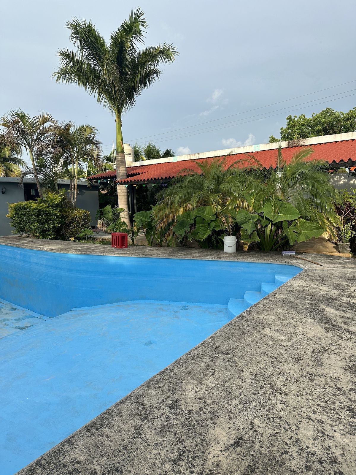 11 de 13