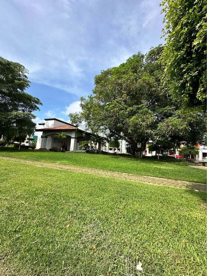 16 de 16