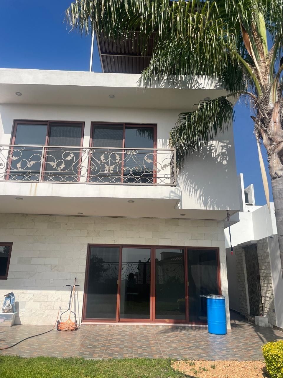 11 de 31