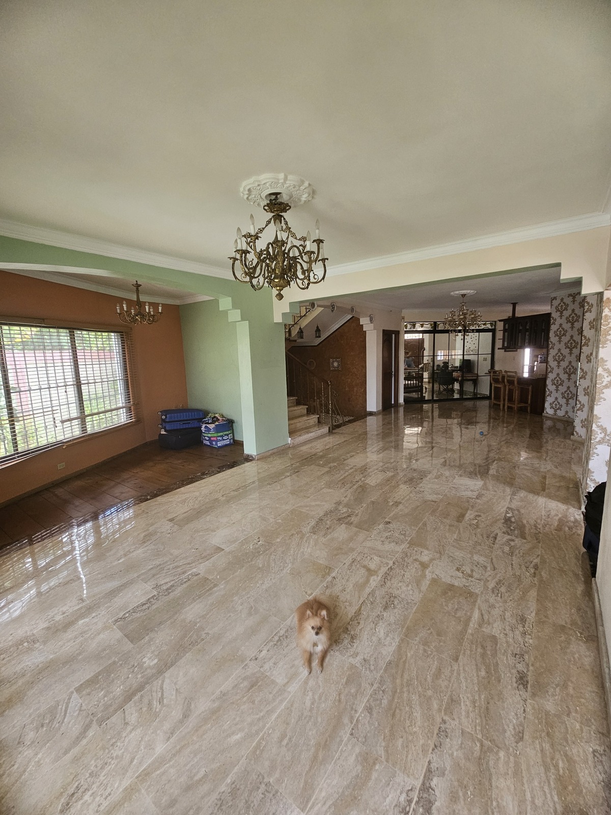 31 de 48: Sala