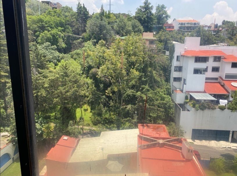 8 de 19