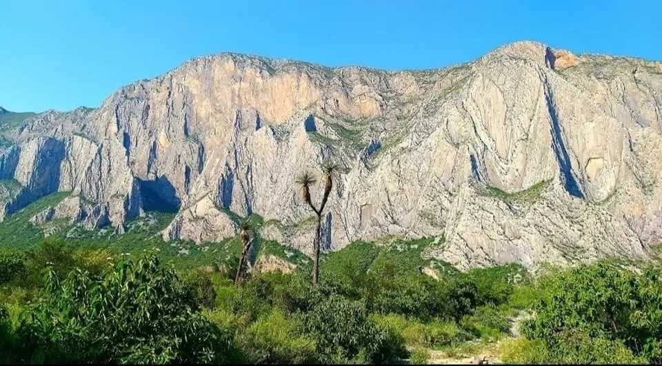 5 de 8