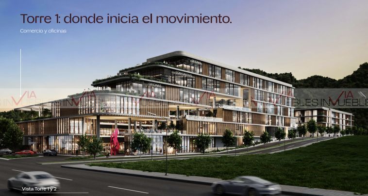11 de 12
