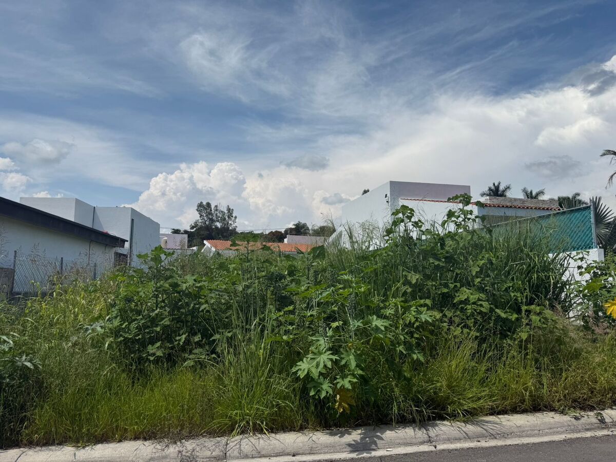 3 de 9