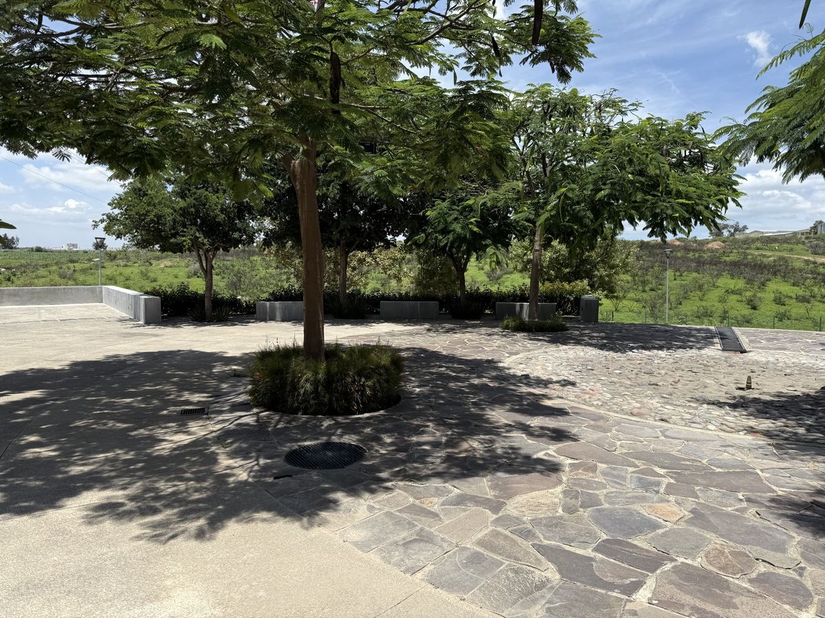 1 de 21