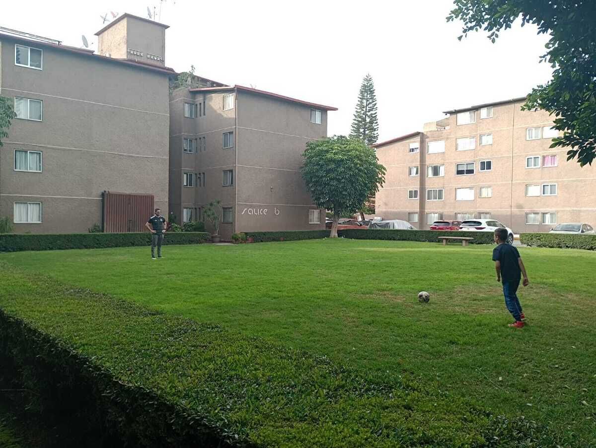 4 de 17
