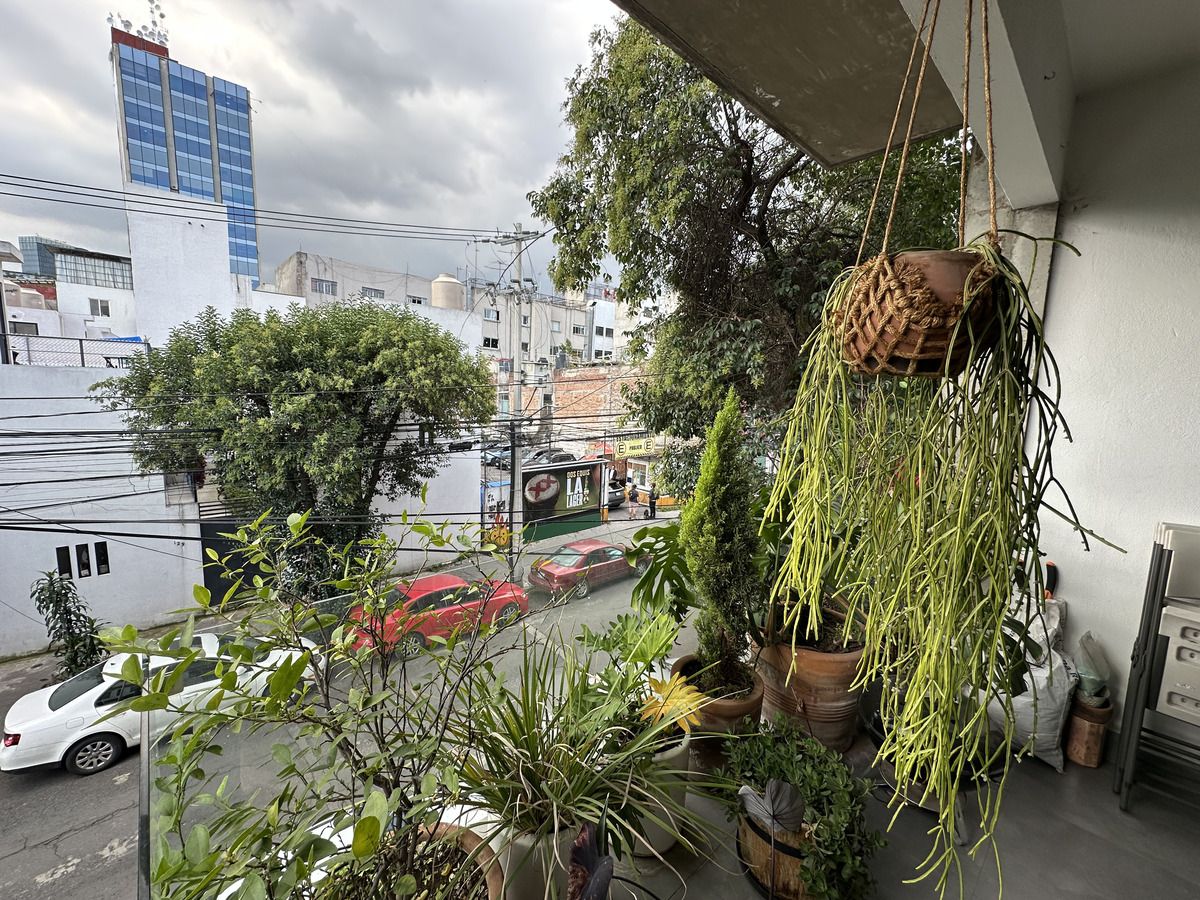 11 de 24