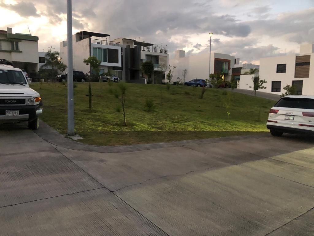 4 de 12