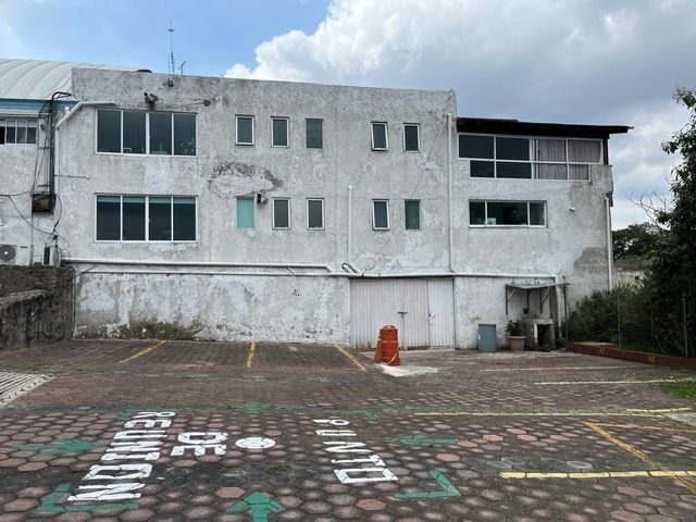 8 de 31
