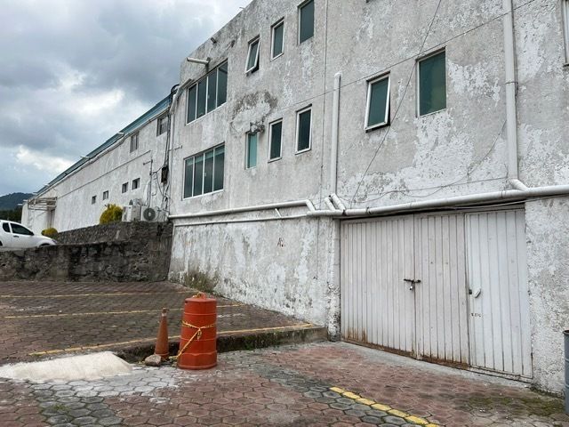12 de 31