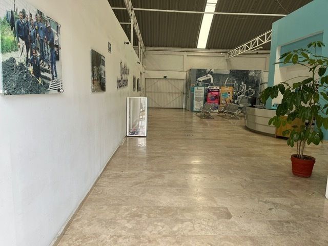 25 de 31