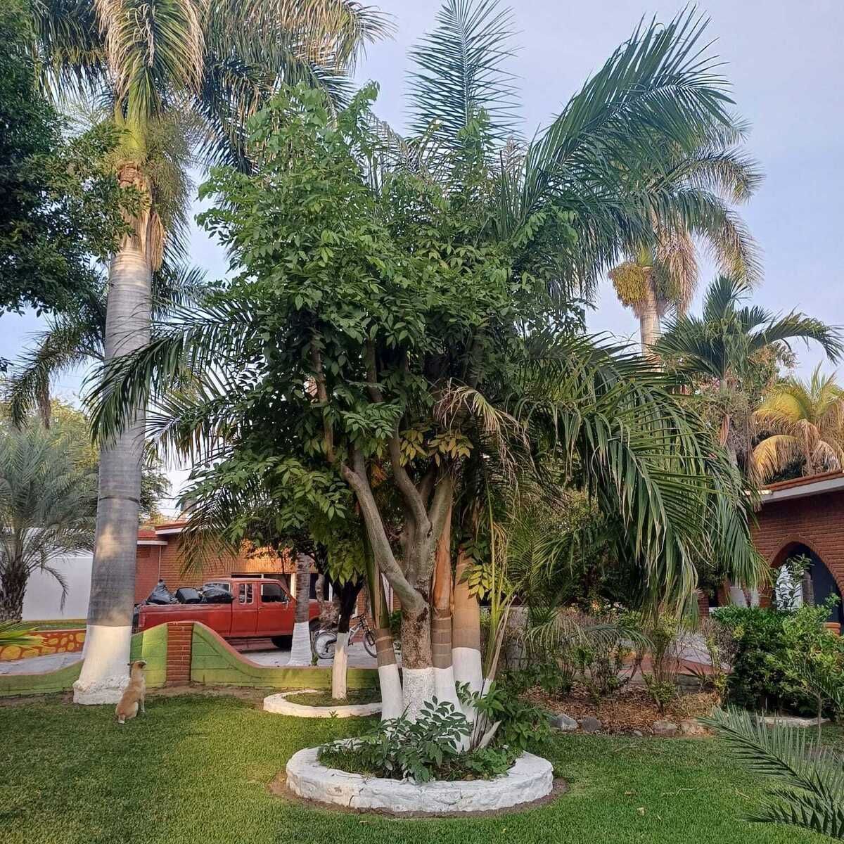 5 of 10