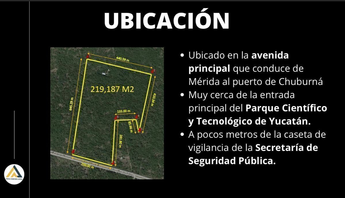 3 de 8