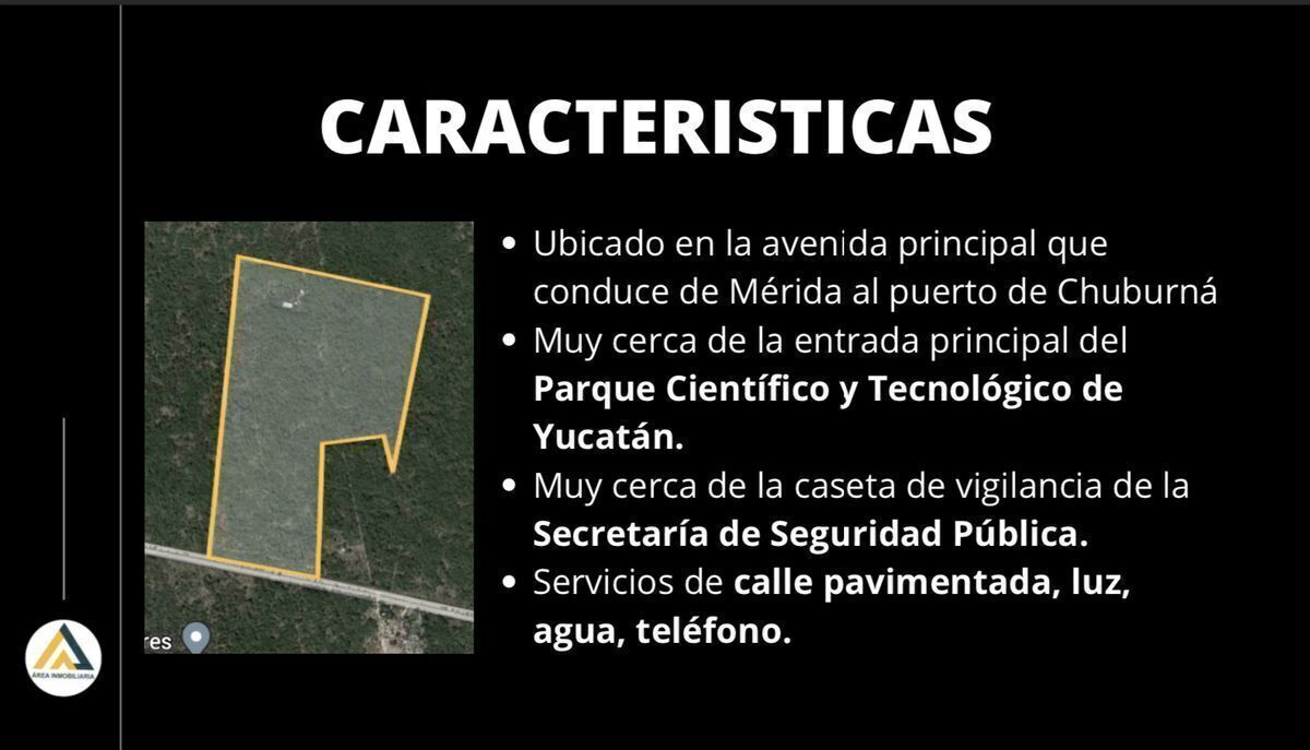4 de 8