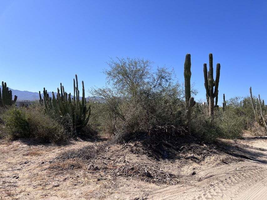1 de 6