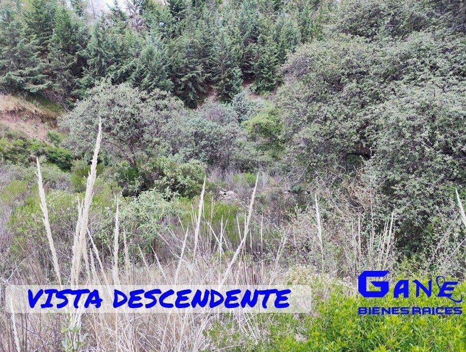 13 de 15